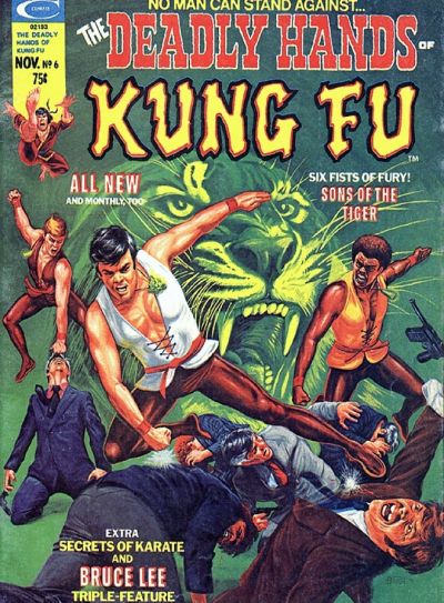 Deadly Hands of Kung Fu Cover